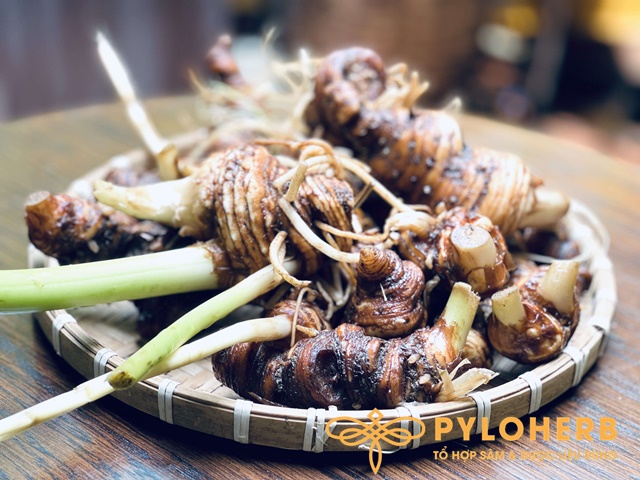 Thất Diệp Nhất Chi Hoa