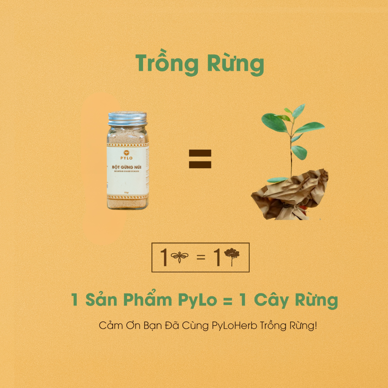 Bột Gừng Núi PyLo