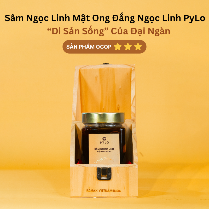 Sâm Ngọc Linh Ngâm Mật Ong Đắng Ngọc Linh PyLo