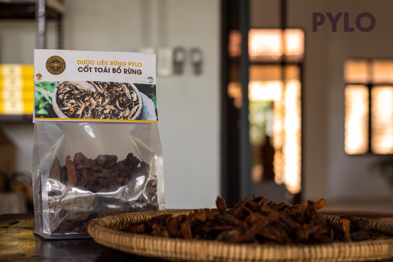 Cốt Toái Bổ Rừng PyLo
