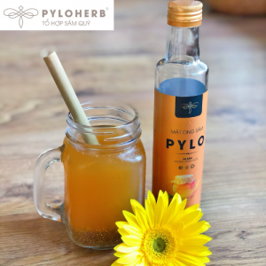 Mật Ong Sâm PyLo Natural – Gold – Queen