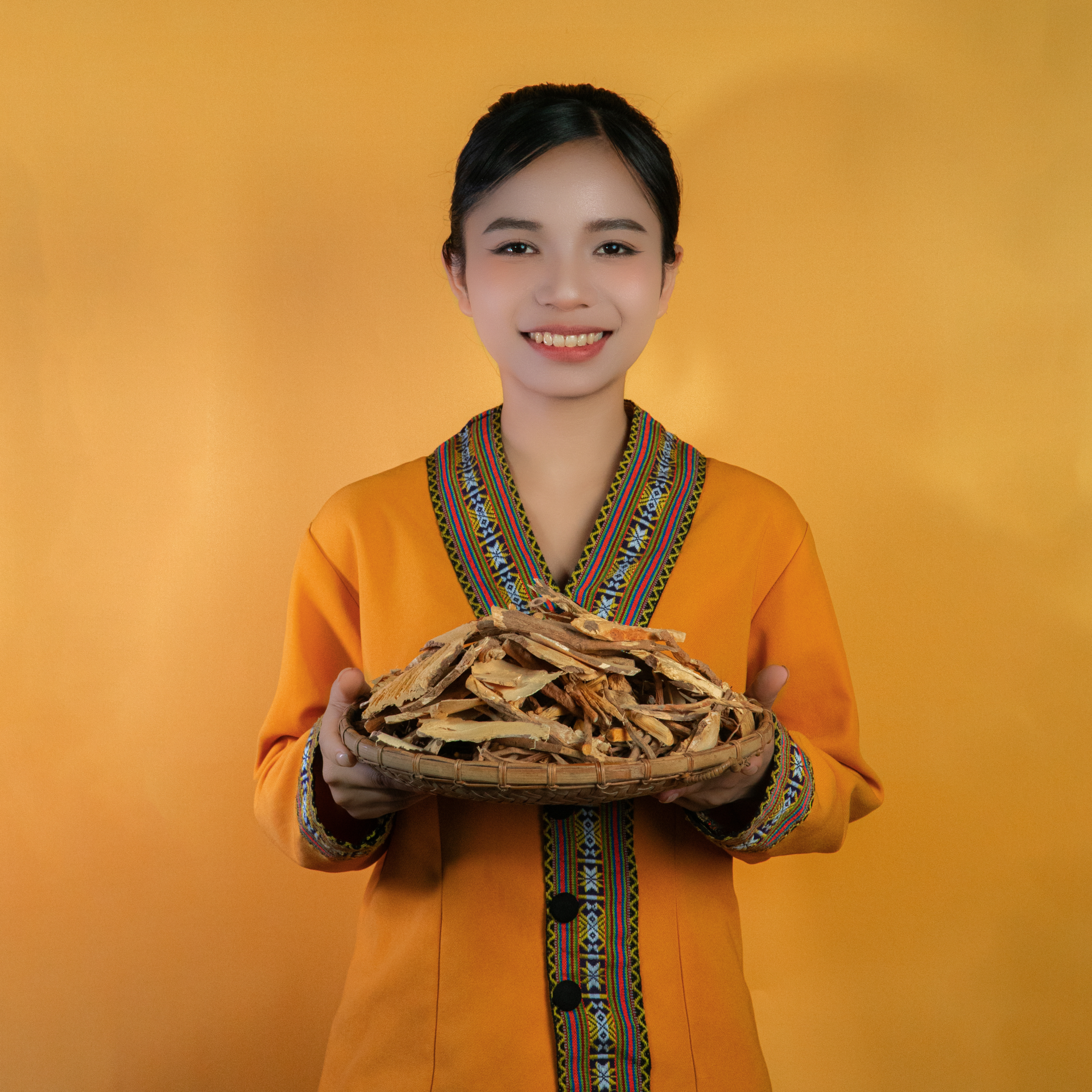 Sâm Cau Ngâm Rượu Măng Đen Pylo