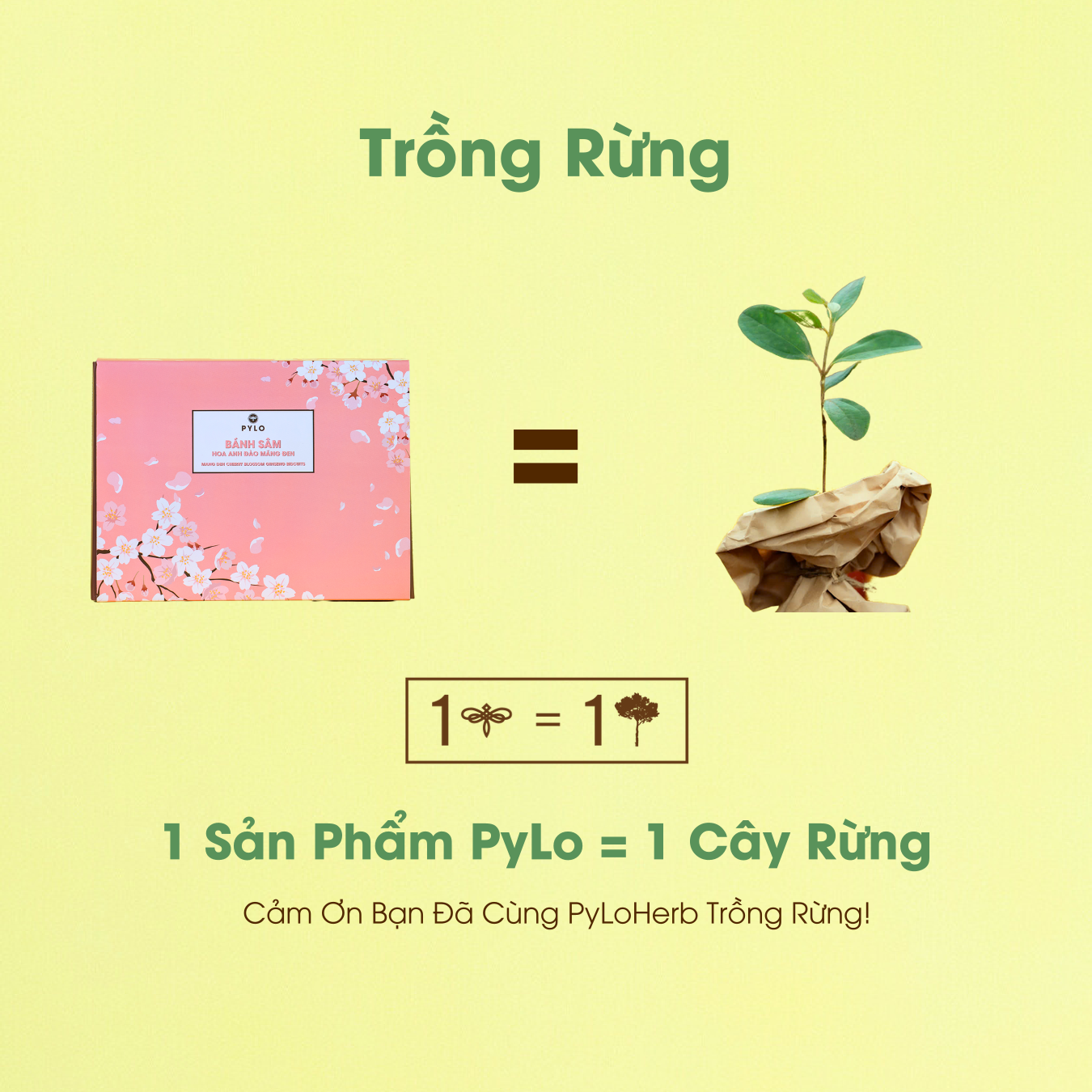 Bánh Sâm Hoa Anh Đào PyLo