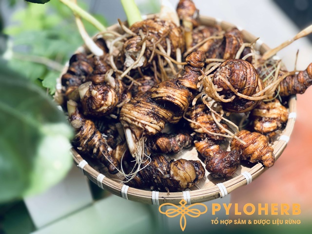 Thất Diệp Nhất Chi Hoa