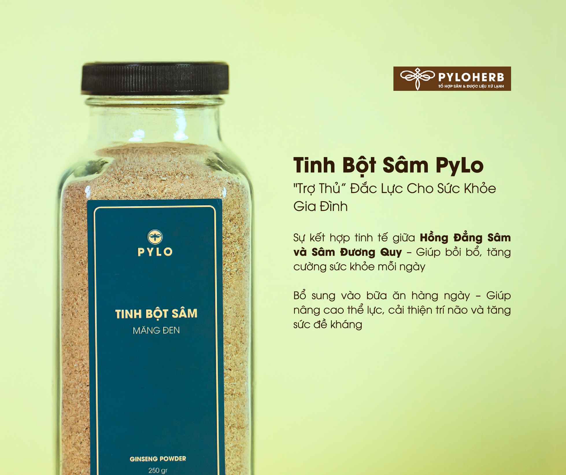 Tinh Bột Sâm PyLo - "Trợ Thủ” Đắc Lực Cho Sức Khỏe Gia Đình