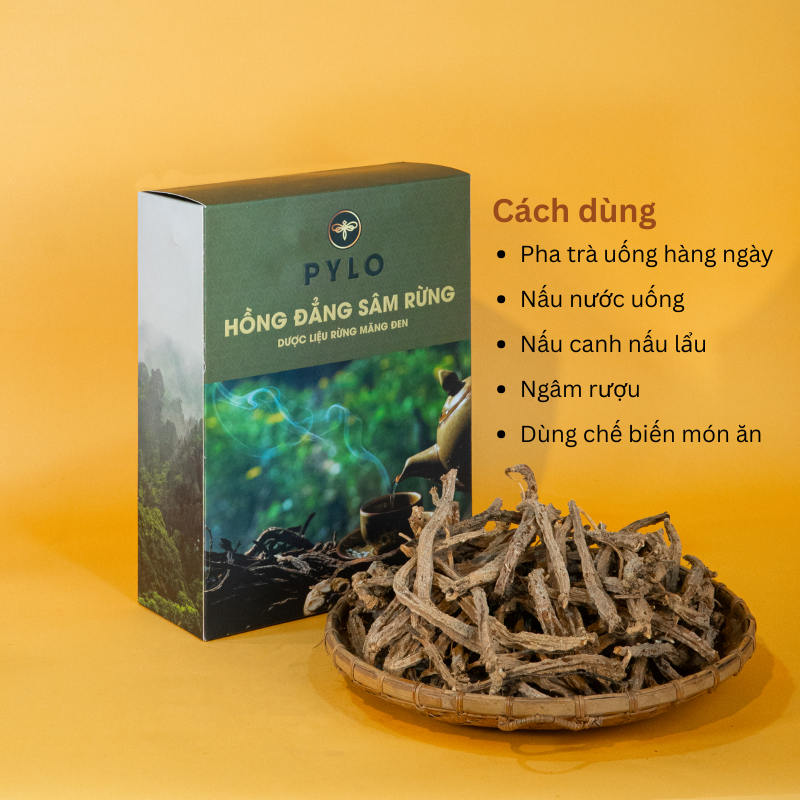 Hồng Đẳng Sâm PyLo (Sâm Dây Ngọc Linh)