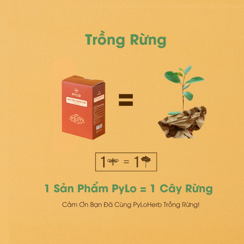Hạt Dưa Rang Củi PyLo