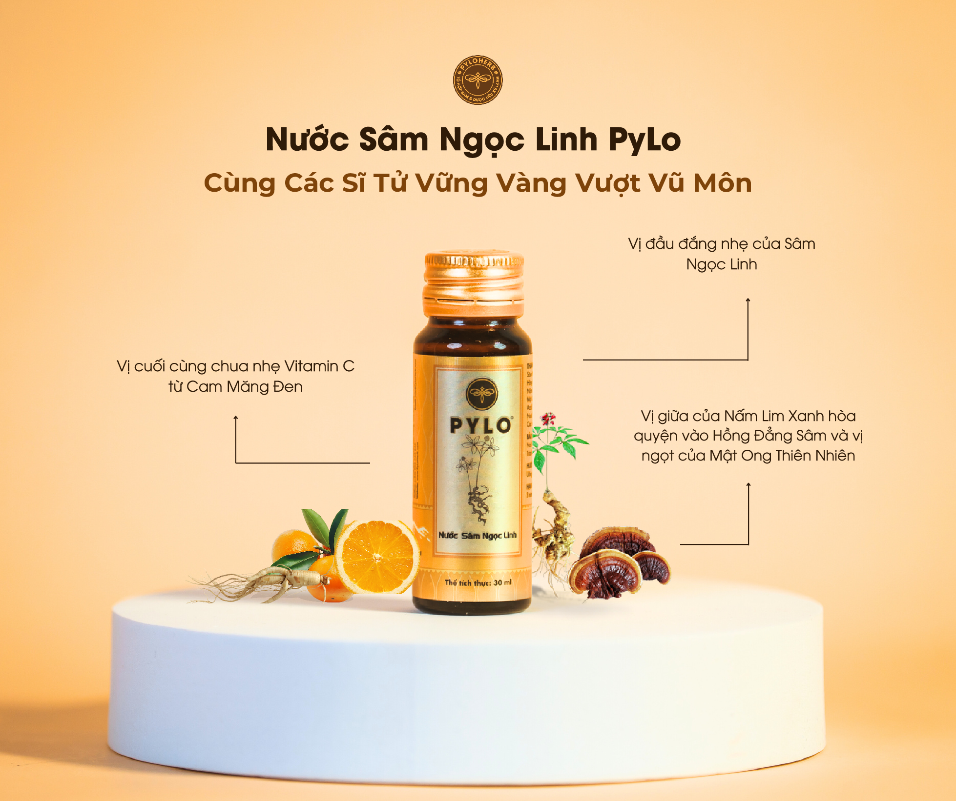 Cùng Các Sĩ Tử Vững Vàng Vượt Vũ Môn Cùng Nước Sâm Ngọc Linh PyLo