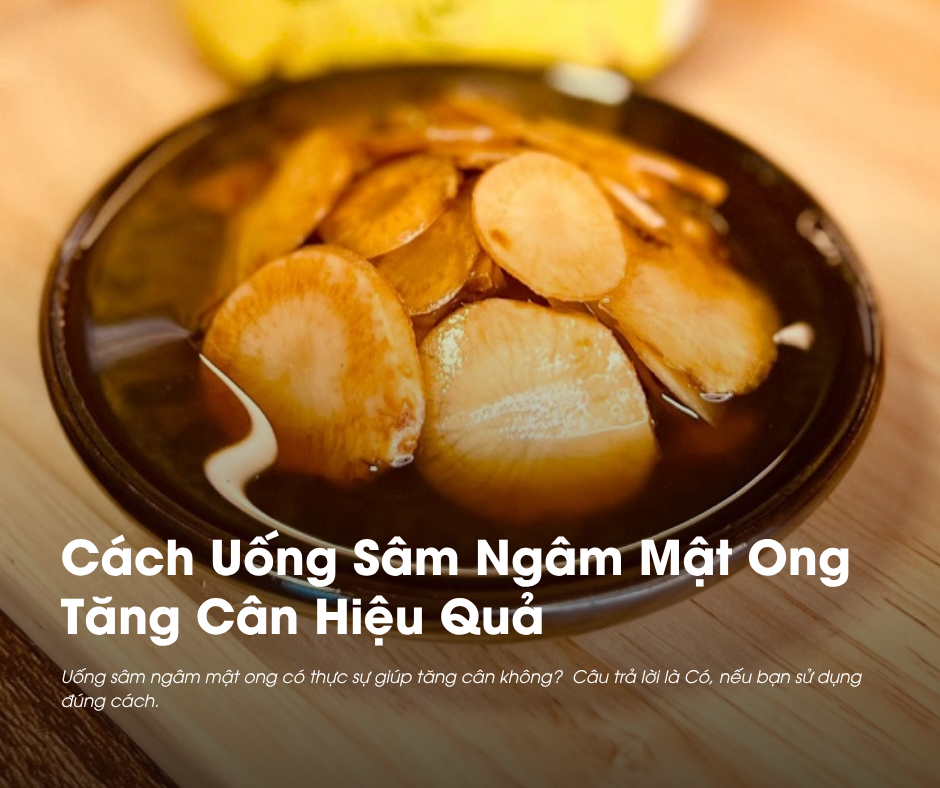 Cách Uống Sâm Ngâm Mật Ong Tăng Cân Hiệu Quả 