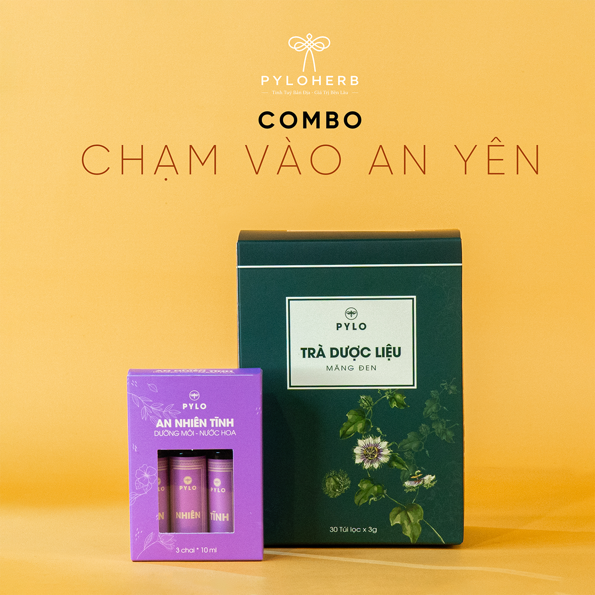 Chạm Vào An Yên