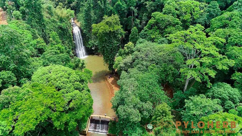 Chia Sẻ Lịch Trình Du Lịch Măng Đen Hai Ngày Cuối Tuần