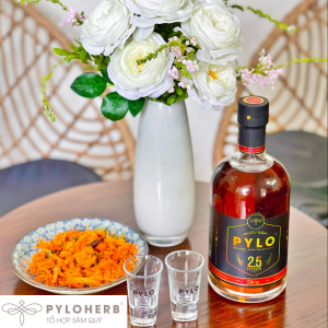 Có Nên Uống Rượu Sâm PyLo?