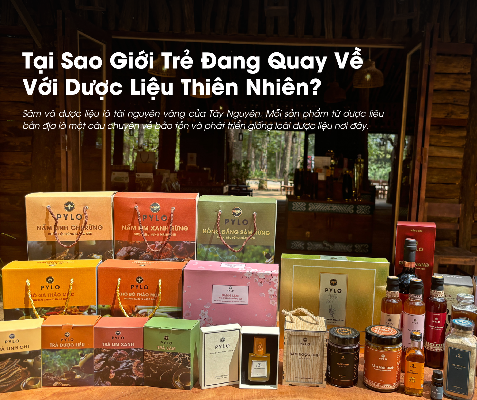 Tại Sao Giới Trẻ Đang Quay Về Với Dược Liệu Thiên Nhiên?