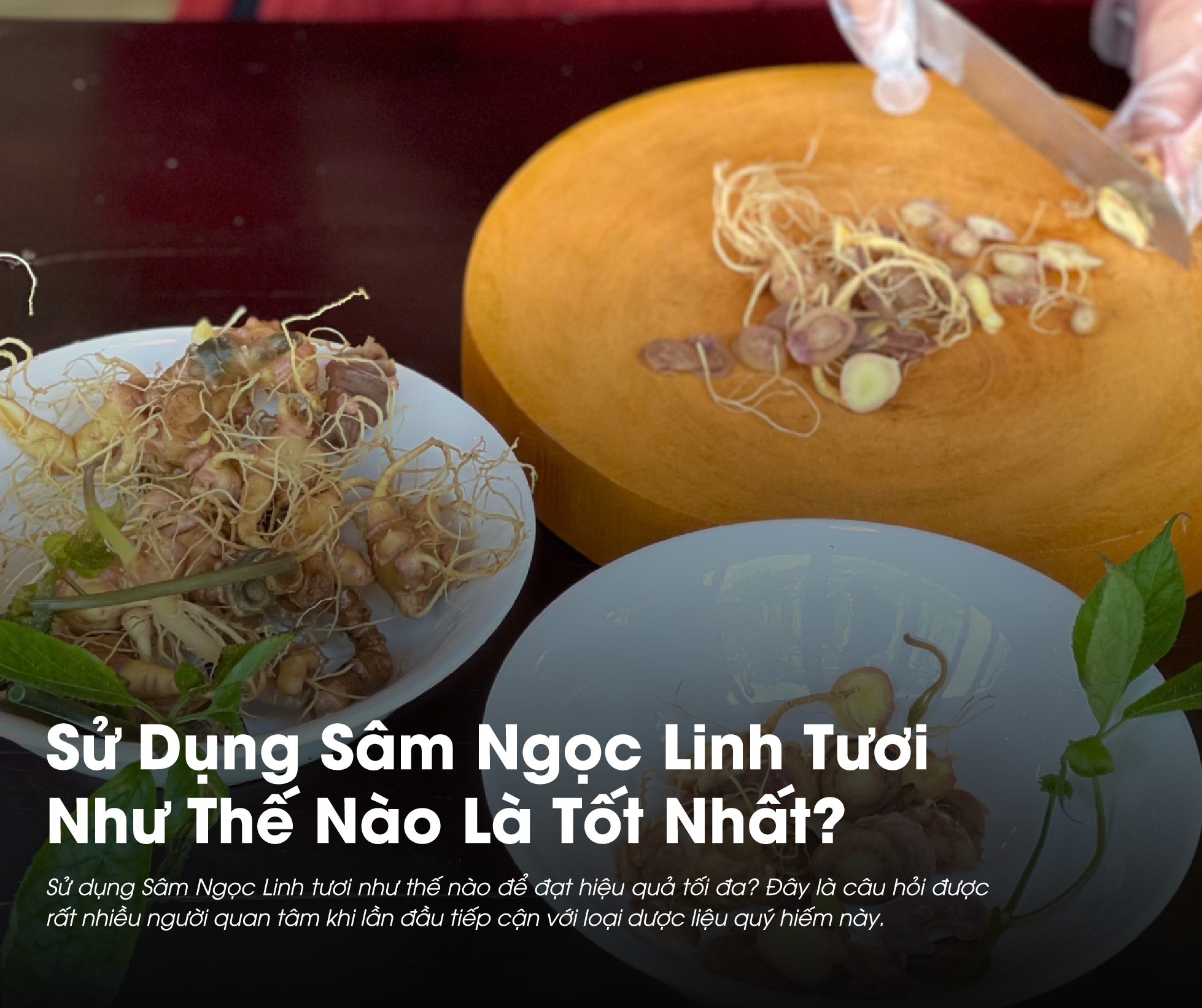 Sử Dụng Sâm Ngọc Linh Tươi Như Thế Nào Là Tốt Nhất?