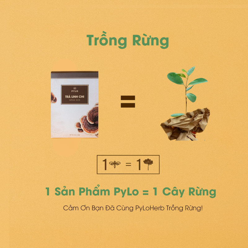 Trà Linh Chi PyLo