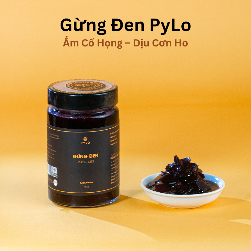 Gừng Đen PyLo
