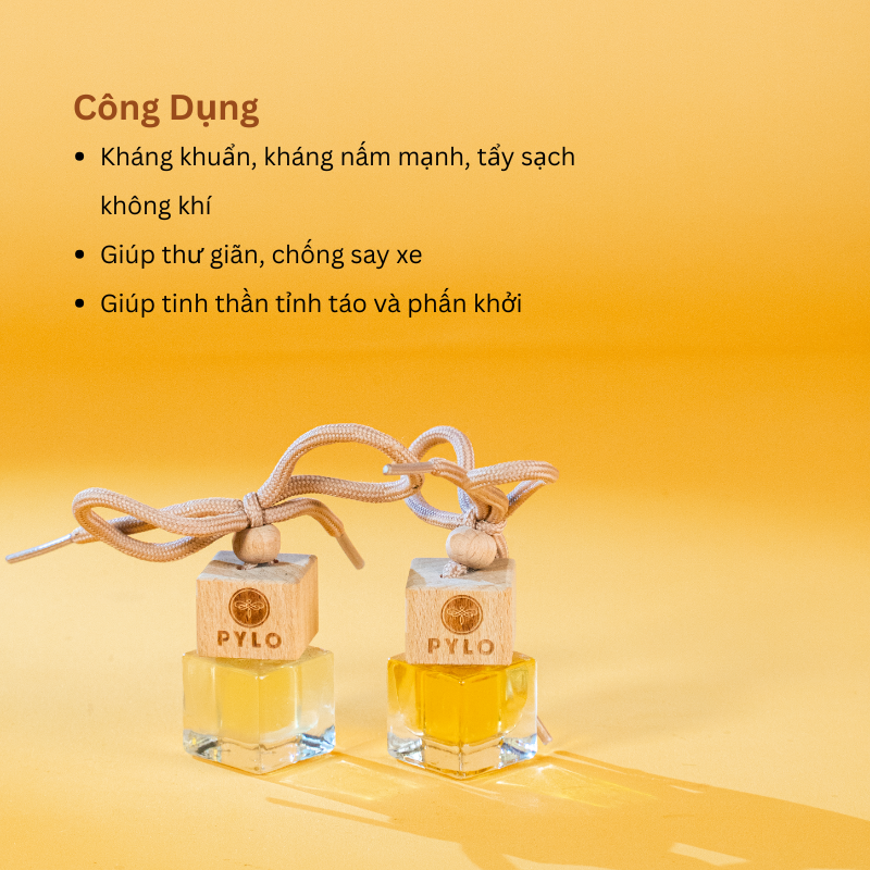 Tinh Dầu Treo PyLo - Sự Lựa Chọn Hoàn Hảo Cho Không Gian Sống