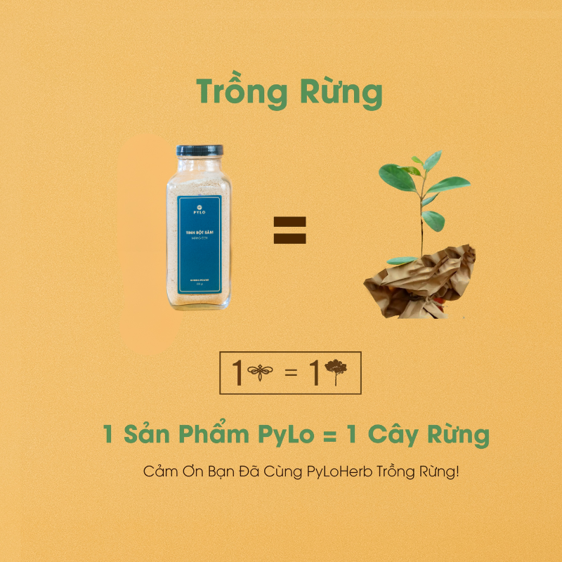 Tinh Bột Sâm PyLo