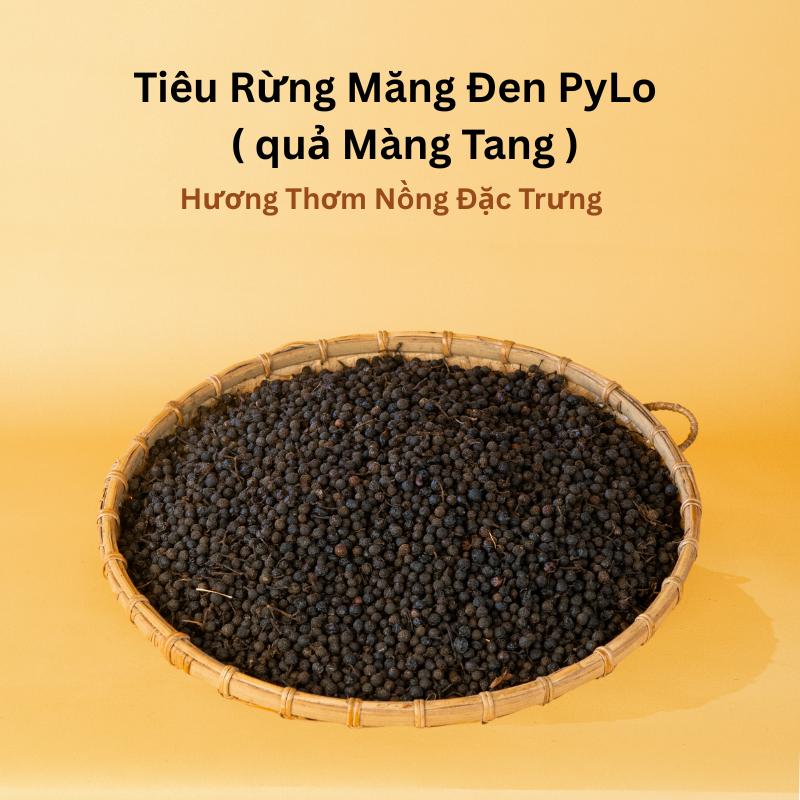 Tiêu Rừng Măng Đen PyLo   ( quả Màng Tang )