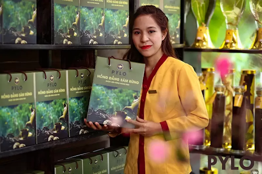 Hồng Đẳng Sâm PyLo - Đưa Thiên Nhiên Về Với Mọi Nhà