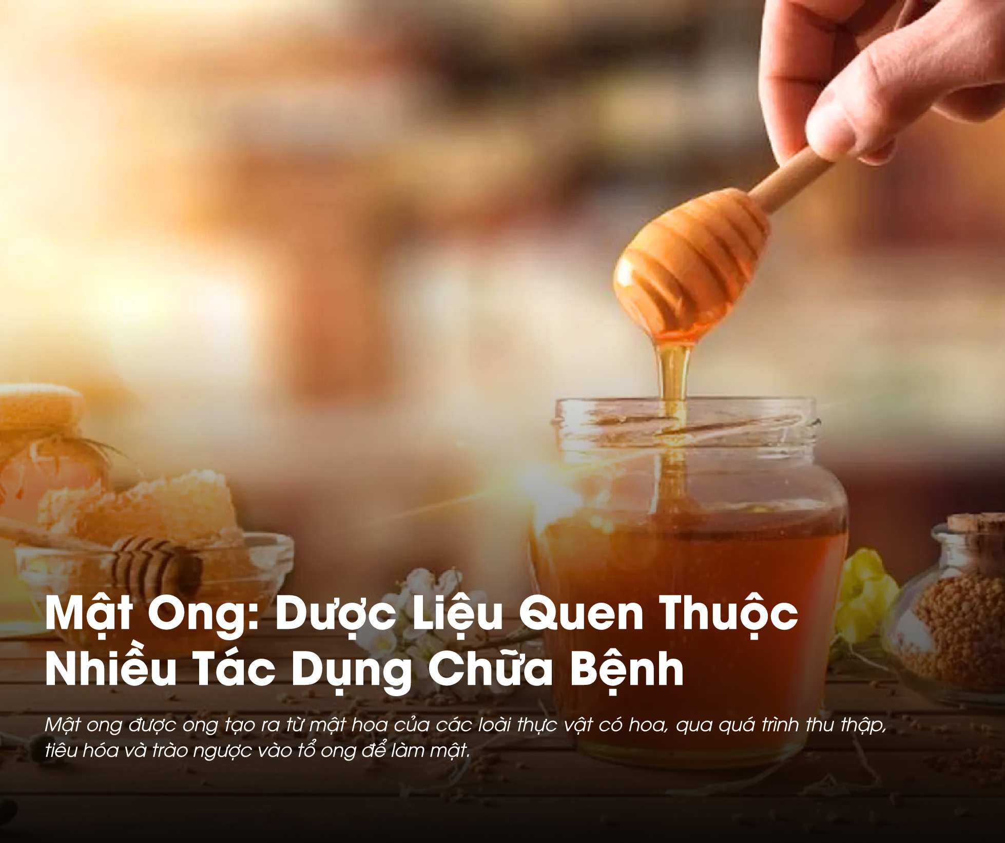 Mật Ong: Dược Liệu Quen Thuộc Nhiều Tác Dụng Chữa Bệnh