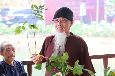 Những Nghiên Cứu “Sửng Sốt" Về Sâm Ngọc Linh