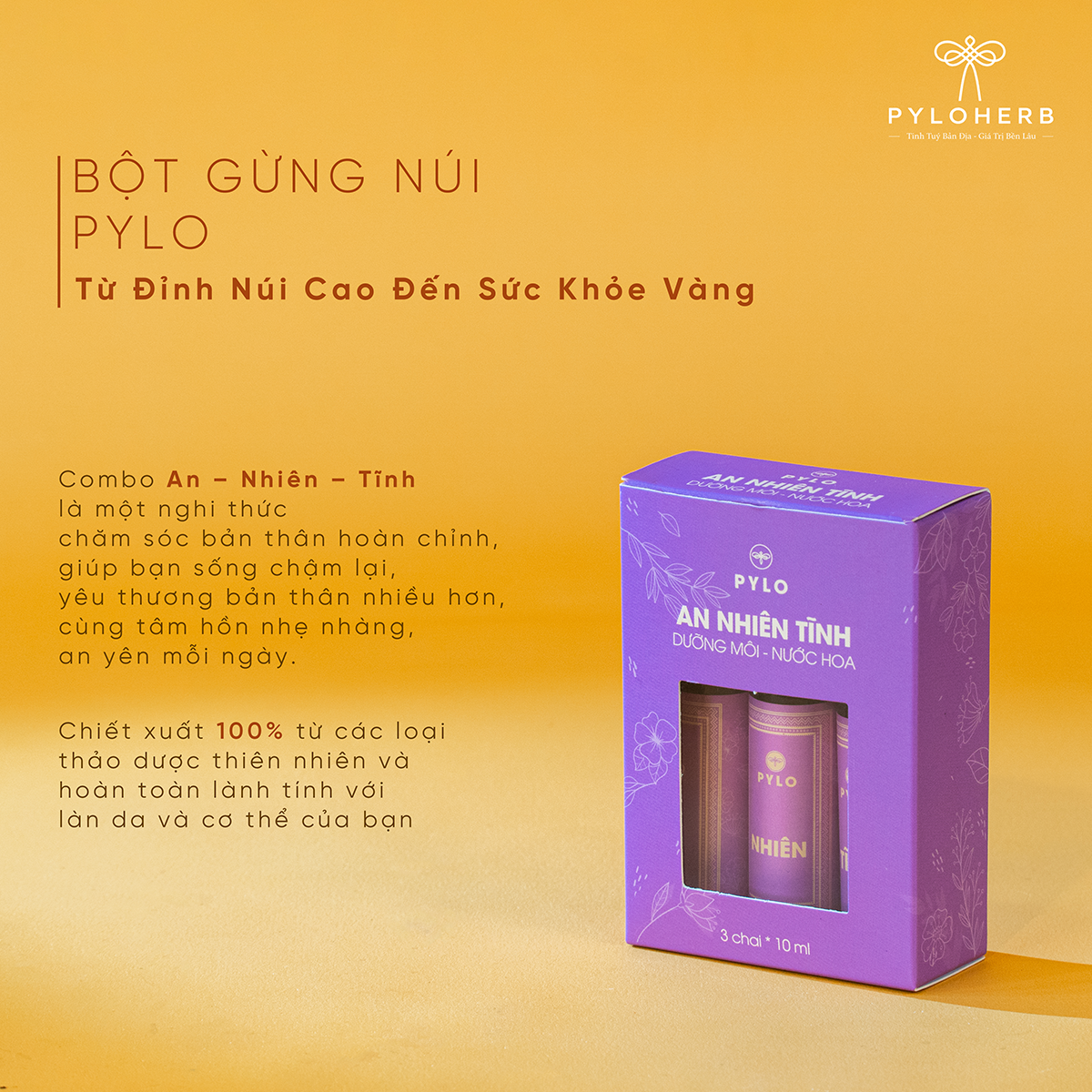 Chạm Vào An Yên