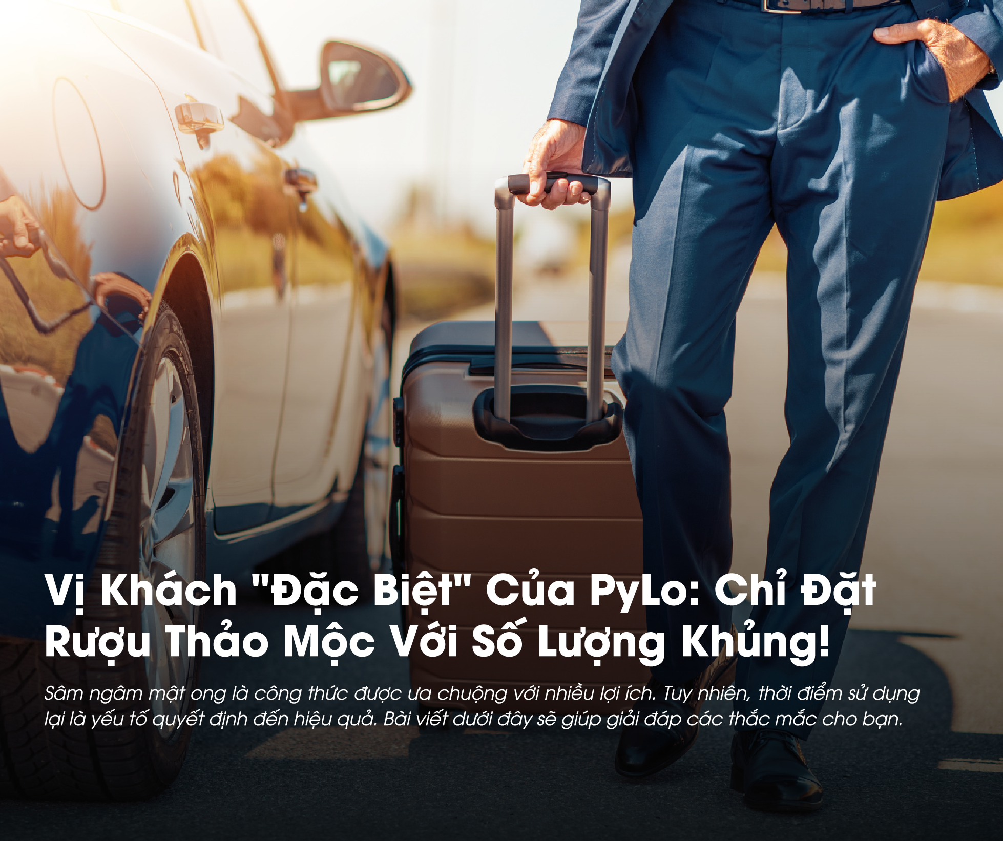 Vị Khách "Đặc Biệt" Của PyLo: Chỉ Đặt Rượu Thảo Mộc Với Số Lượng Khủng!