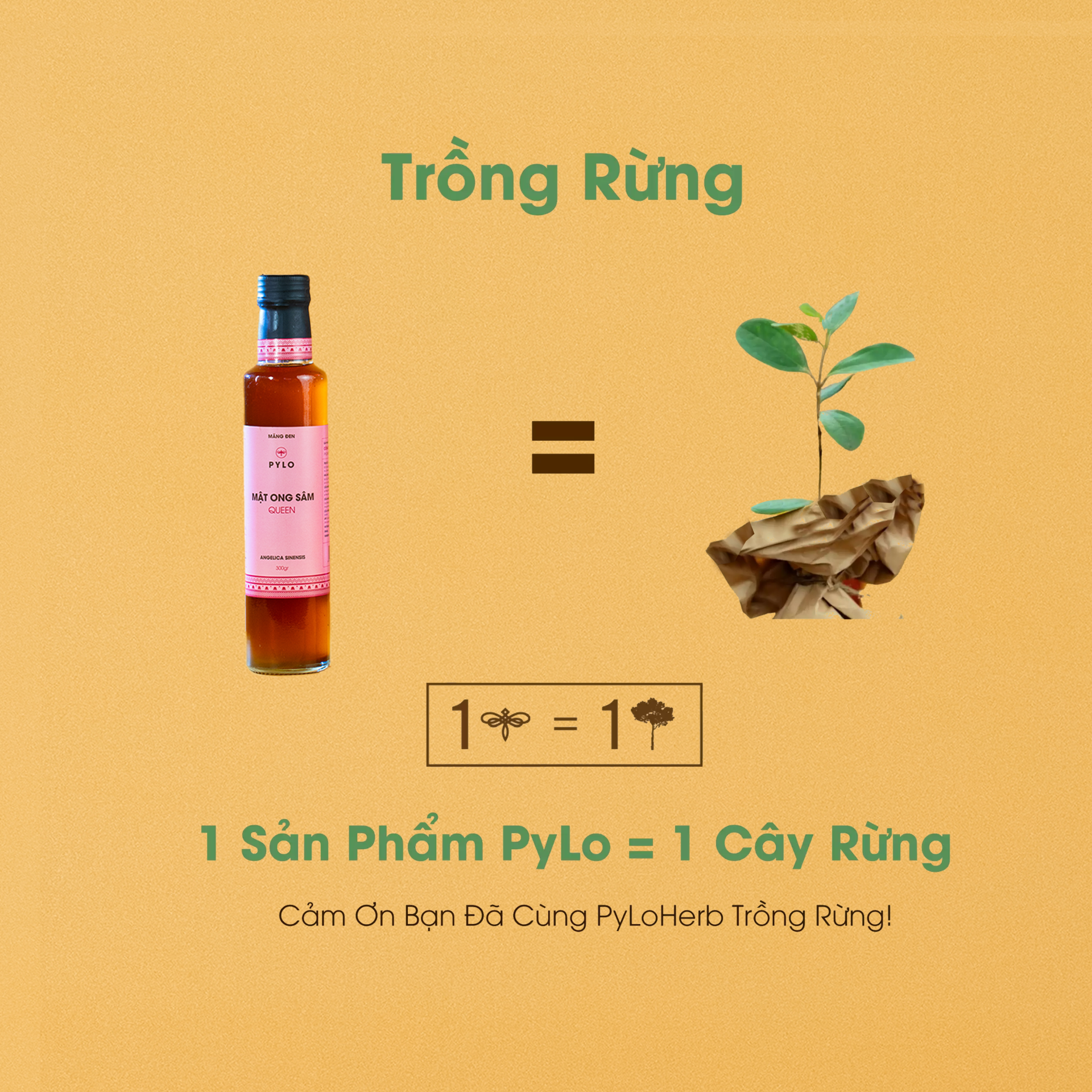 Mật Ong Sâm PyLo Queen - Hồng
