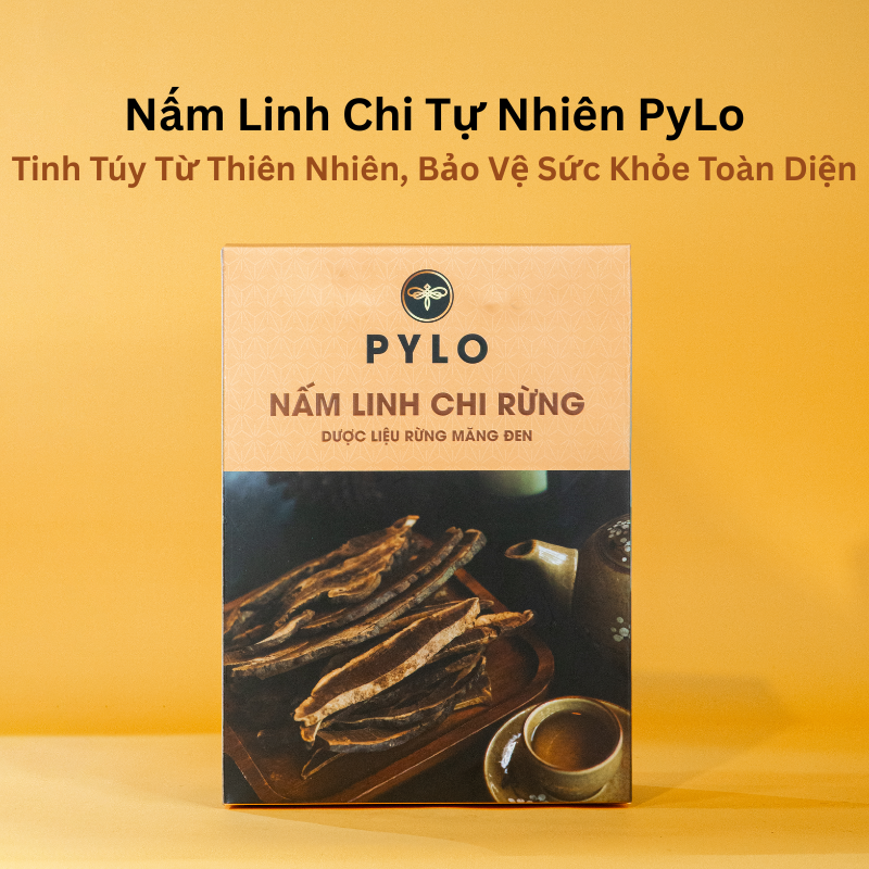 Nấm Linh Chi Tự Nhiên PyLo