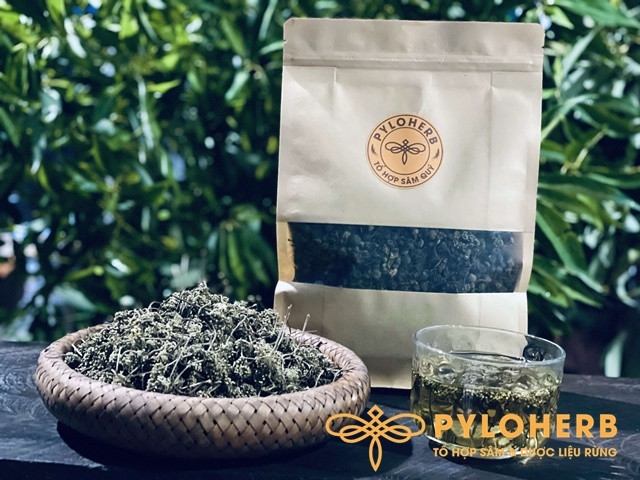 Nụ Cây Tam Thất – Lựa Chọn Hoàn Hảo Cho Sức Khỏe
