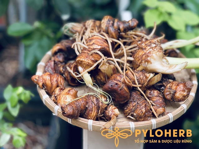 Thất Diệp Nhất Chi Hoa