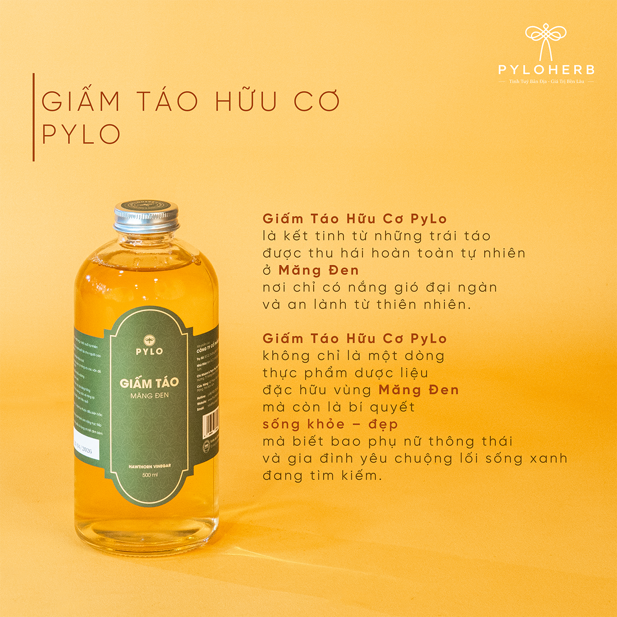 Combo Quốc Bảo Tri Ân