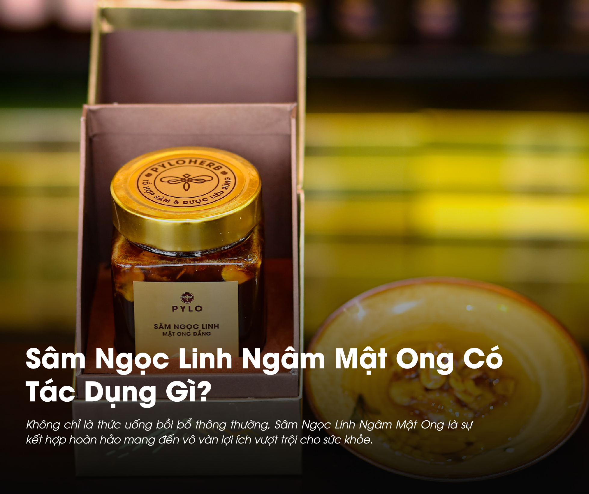 Sâm Ngọc Linh Ngâm Mật Ong Có Tác Dụng Gì? Khám Phá 7 Lợi Ích Vàng Cho Sức Khỏe