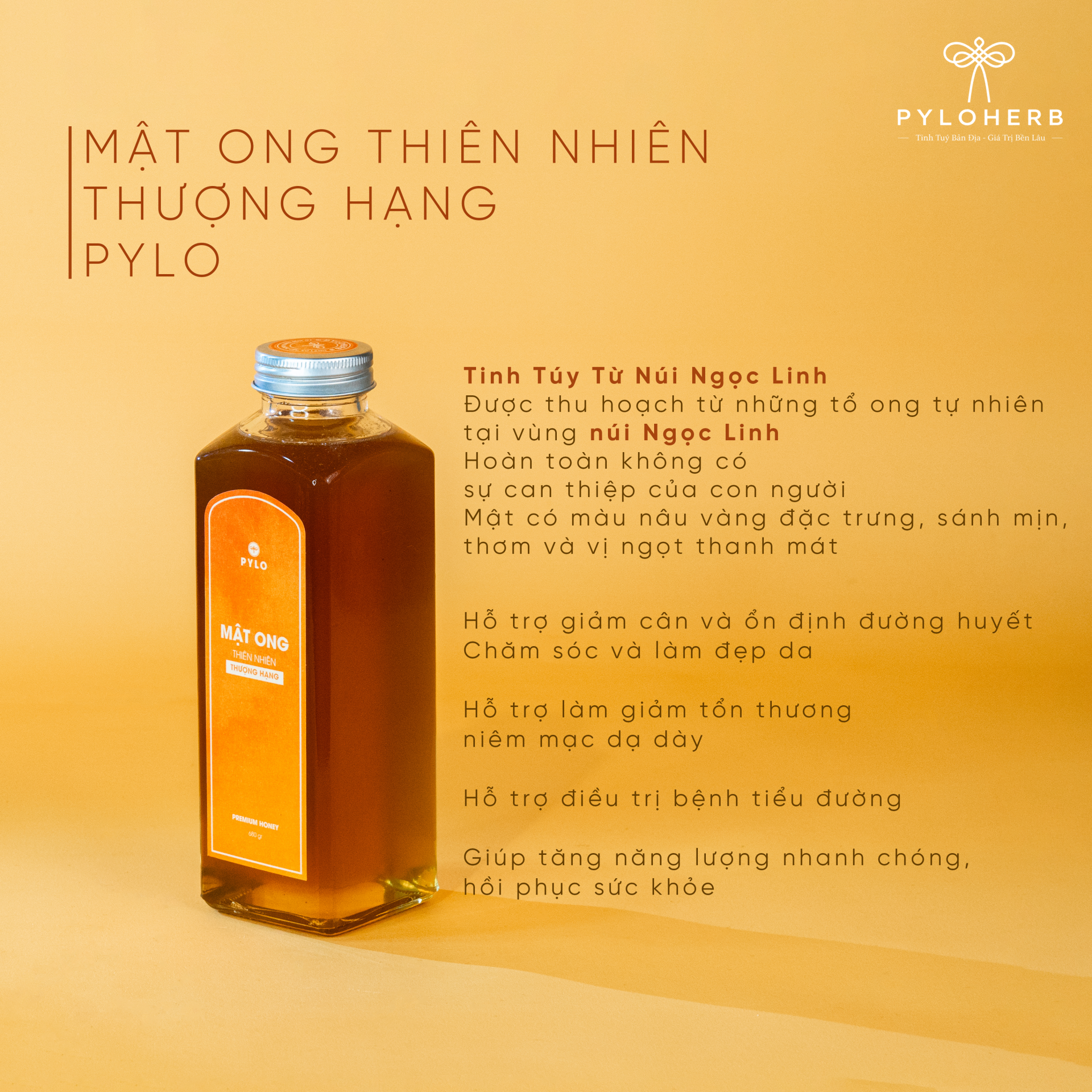 Combo Bản Địa Măng Đen