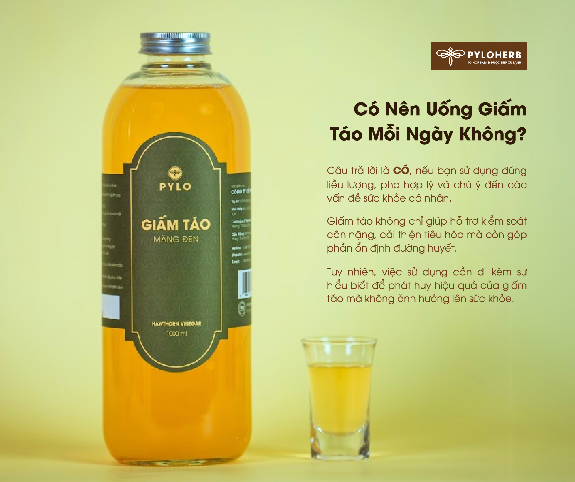 Có Nên Uống Giấm Táo Mỗi Ngày Không? Lợi Ích Và Lưu Ý Bạn Cần Biết