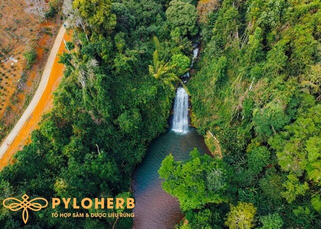 Măng Đen Có Gì Chơi? Măng Đen Có Gì Đặc Biệt?