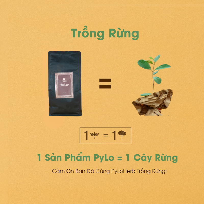 Cà Phê Sâm PyLo