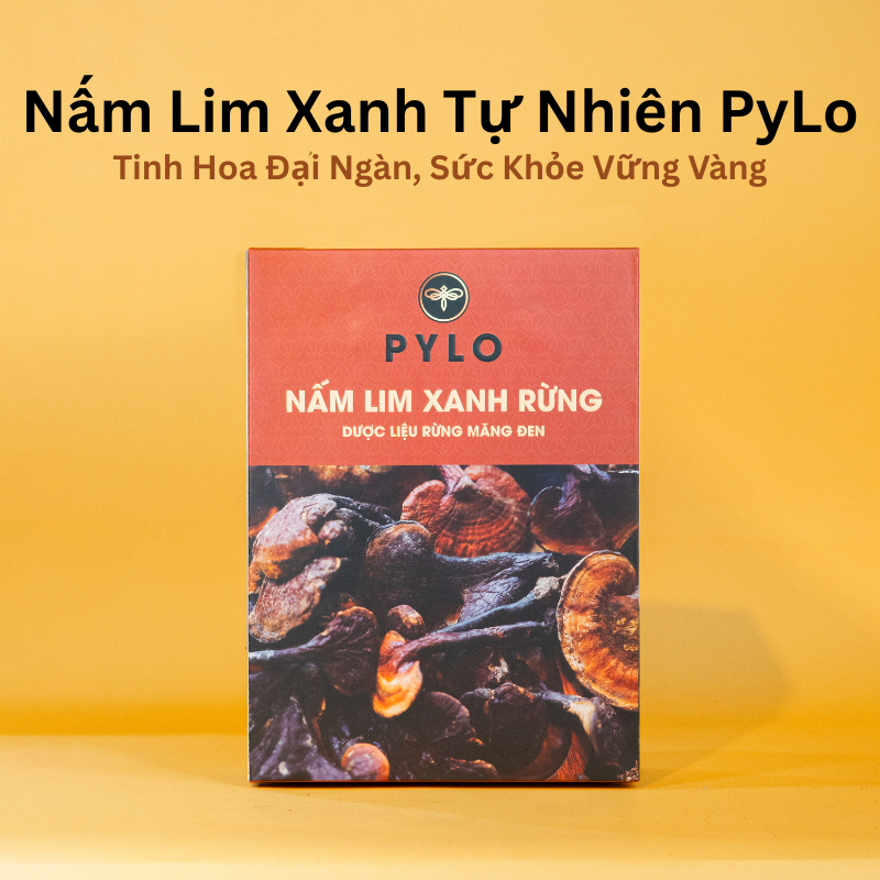 Nấm Lim Xanh Tự Nhiên PyLo