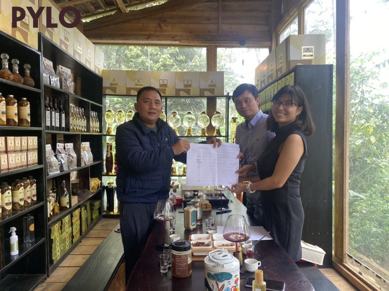 Thu Tiền Tỉ Từ Kinh Doanh Dược Liệu Rừng Cùng PyLoHerb