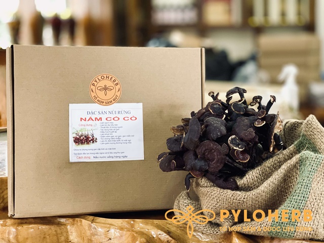 Nấm Linh Chi Cổ Cò Rừng - Thảo Dược Quý Của Núi Rừng