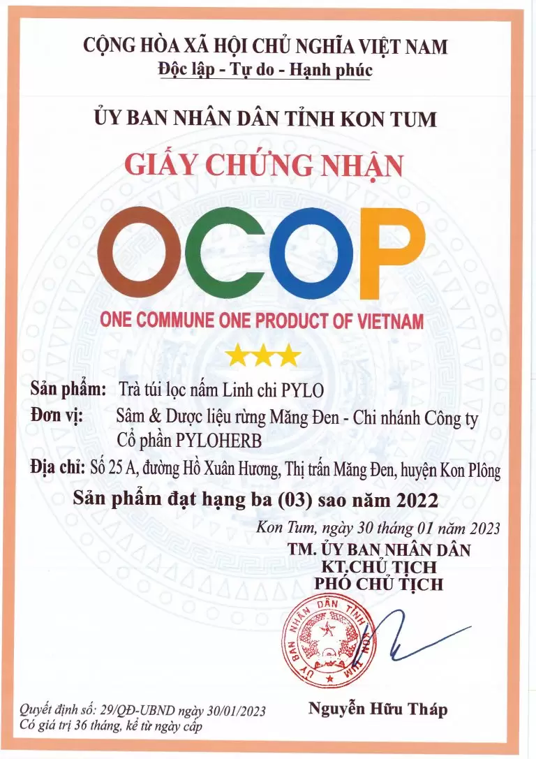 Trà Linh Chi PyLo