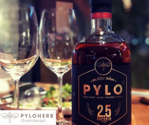 Rượu Sâm Pylo – Đặc Sản Đồng Bào Vùng Cao Nguyên
