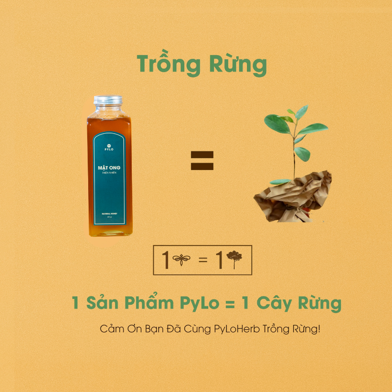 Mật Ong Thiên Nhiên PyLo