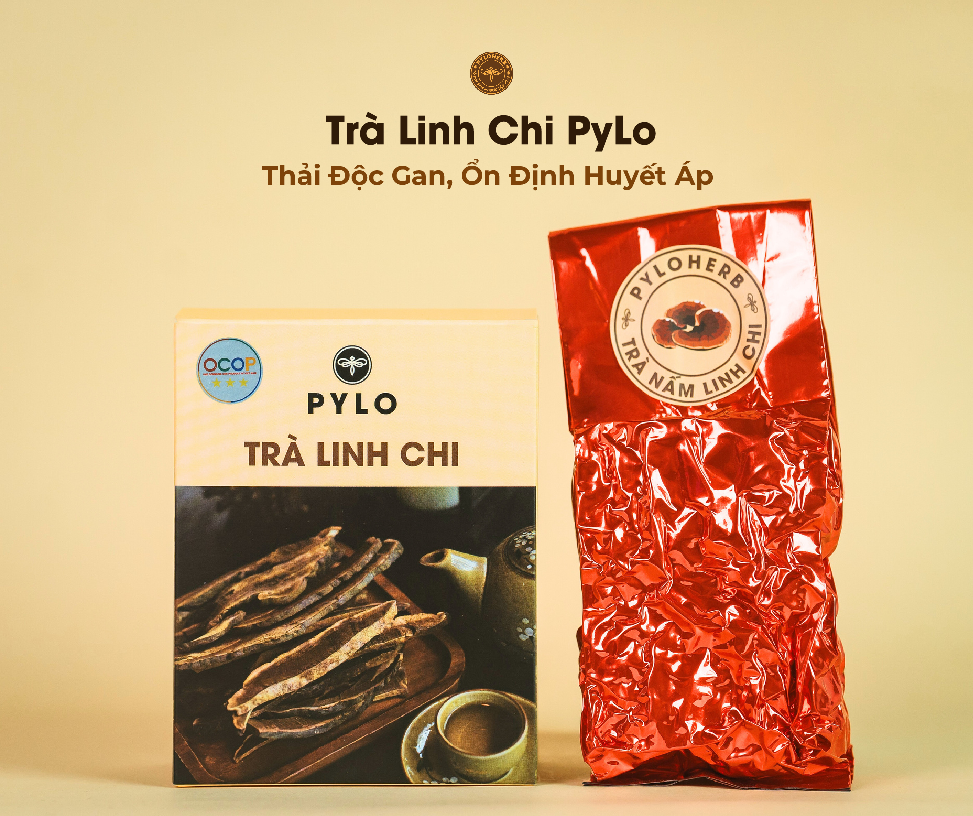 Trà Linh Chi PyLo - Thải Độc Gan Và Ổn Định Huyết Áp
