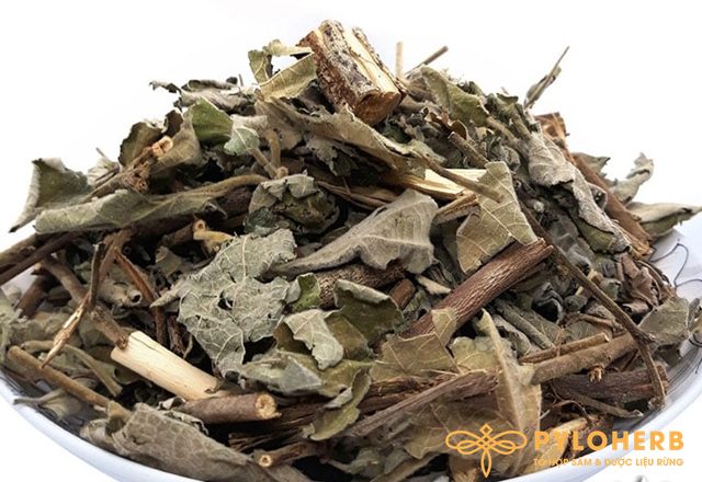 Cây An Xoa Rừng Và Thành Phần Dược Liệu, Tác Dụng