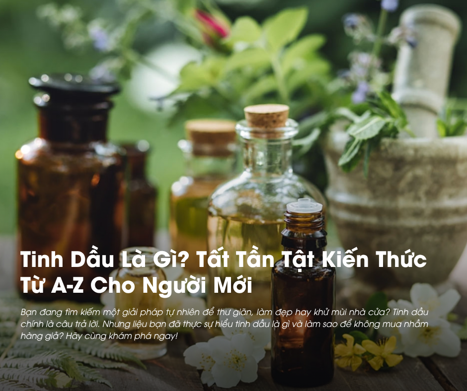 Tinh Dầu Là Gì? Tất Tần Tật Kiến Thức Từ A-Z Cho Người Mới