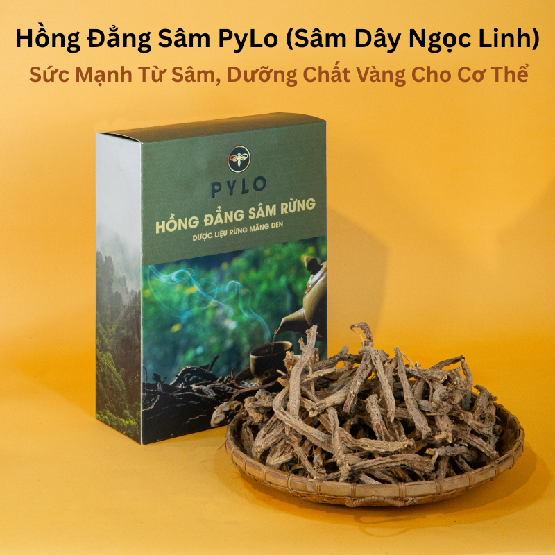 Hồng Đẳng Sâm PyLo (Sâm Dây Ngọc Linh)