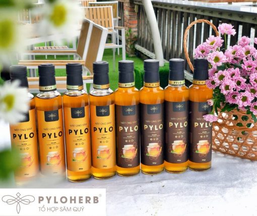 Nguồn Gốc Của Mật Ong Sâm PyLo