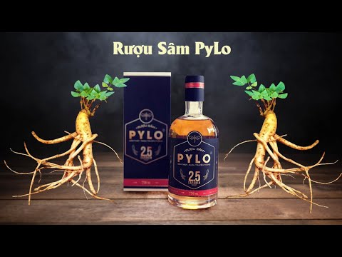 Bí Quyết Làm Nên Chai Rượu Sâm PyLo
